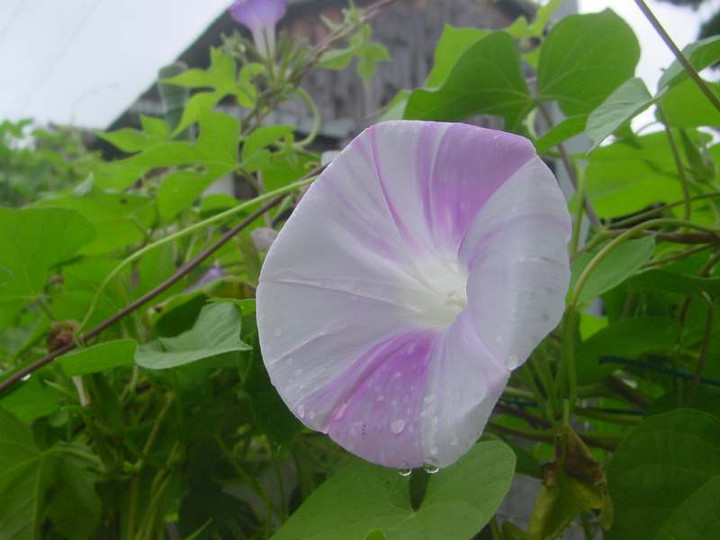 Dsc02214