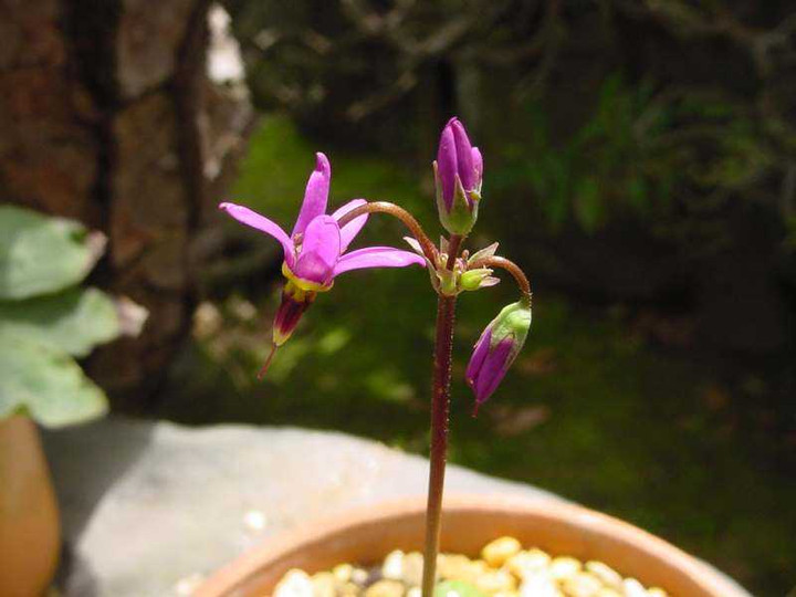 Dsc02249