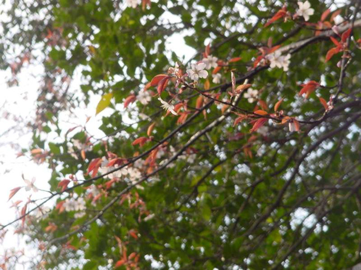 Dsc02275