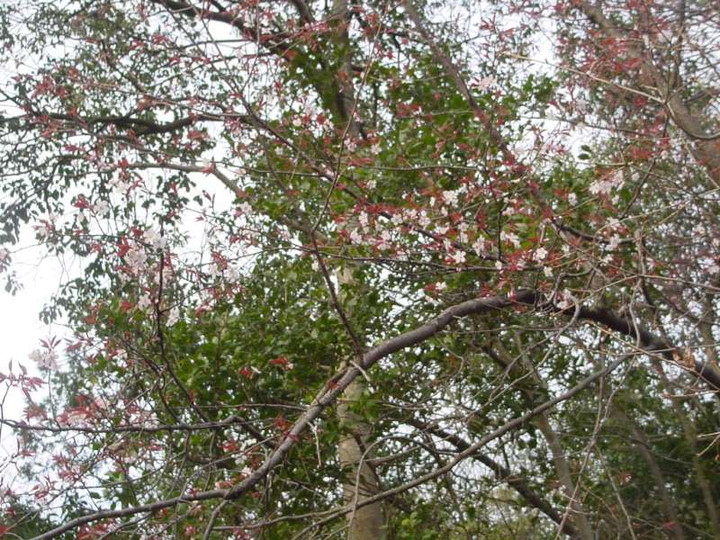Dsc02278