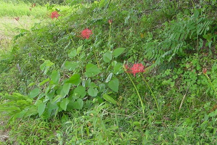 Dsc02297