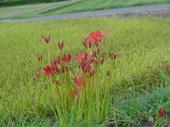 Dsc02300