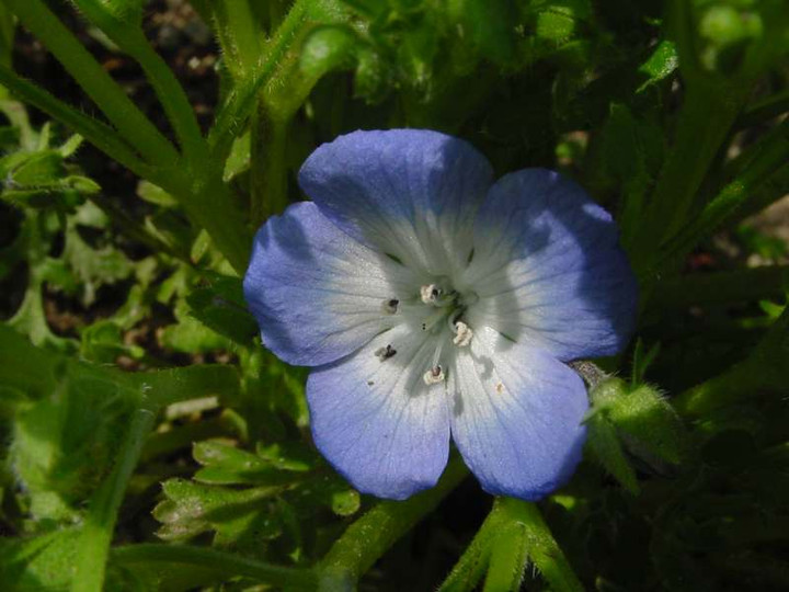 Dsc02357