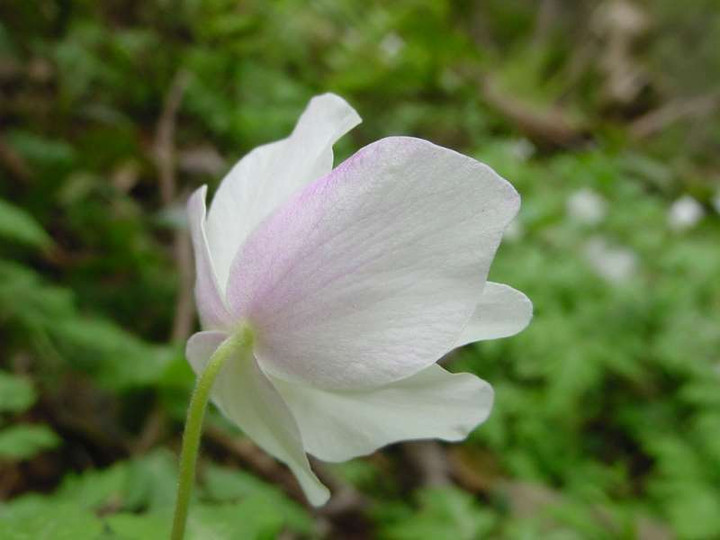 Dsc02407