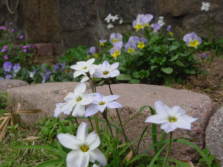 Dsc02420