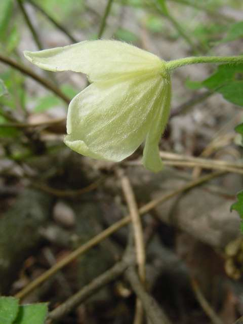 Dsc02458