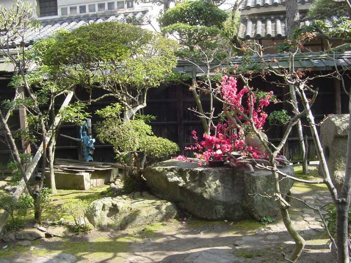 Dsc02521