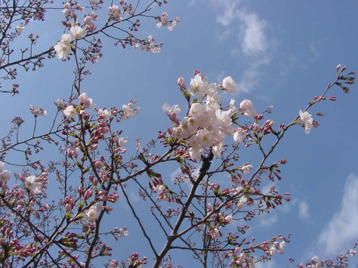 Dsc02526