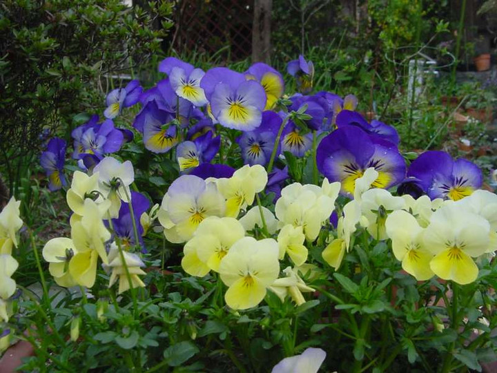 Dsc02532