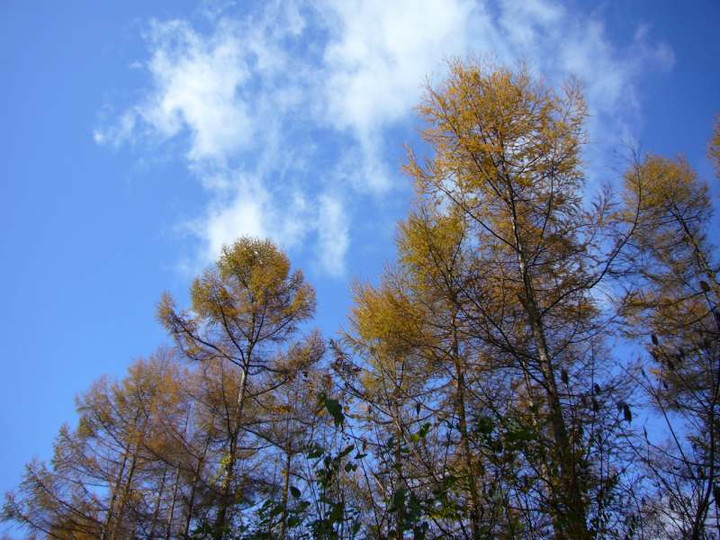 P1000085
