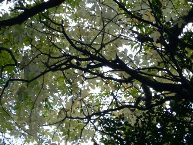 P1000115