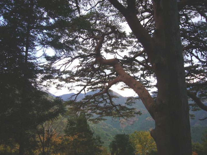 P1000118