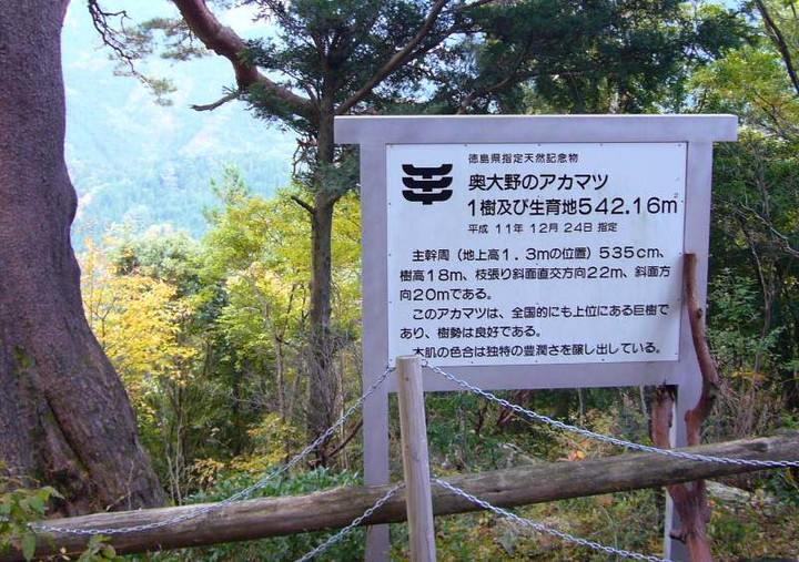 P1000120