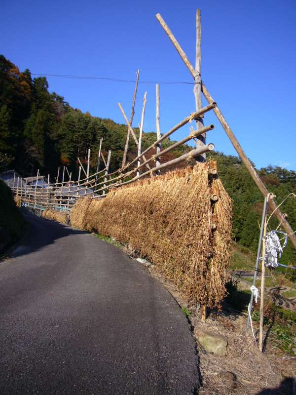 P1000178