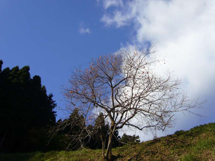 P1000197