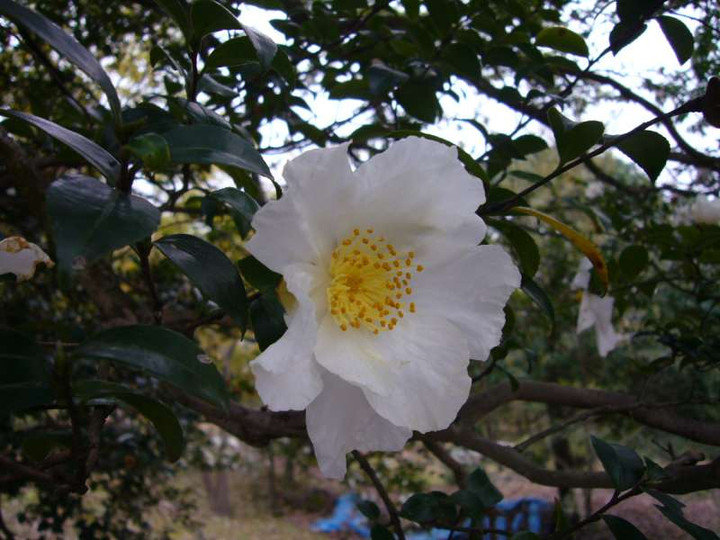 P1000261