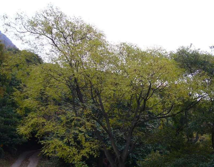 P1000264