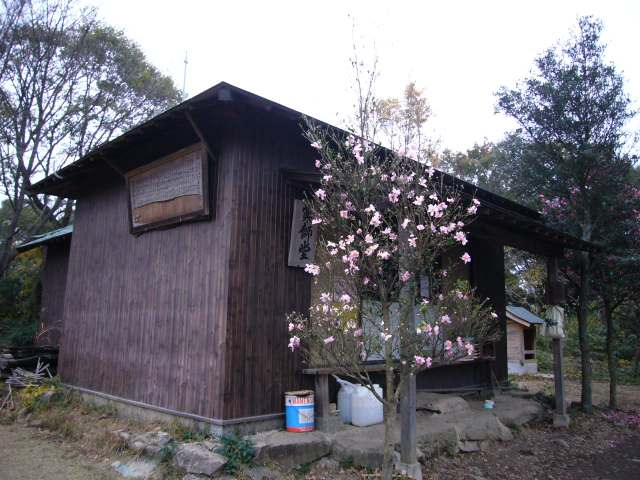 P1000294_2