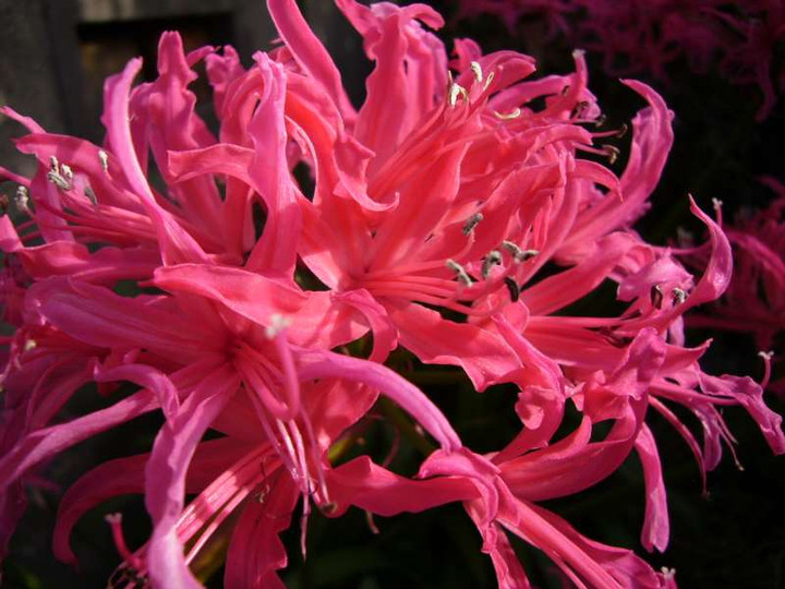 P1000367_1