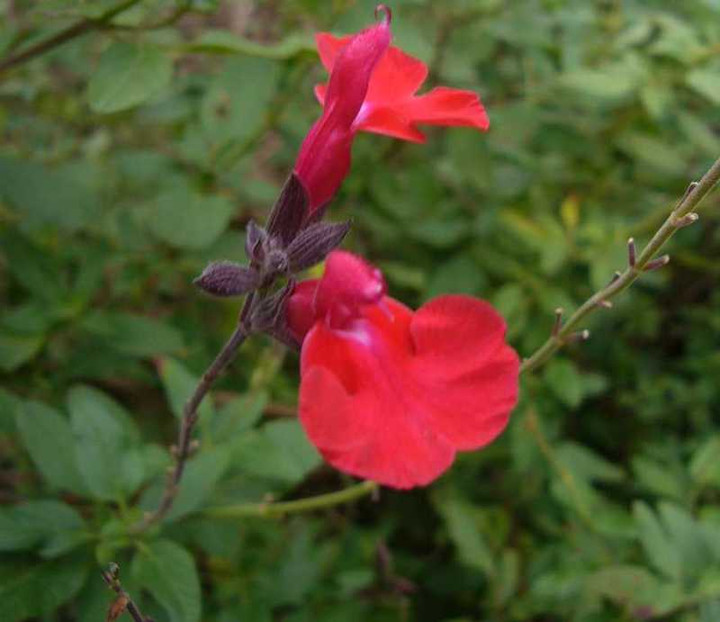 P1000429