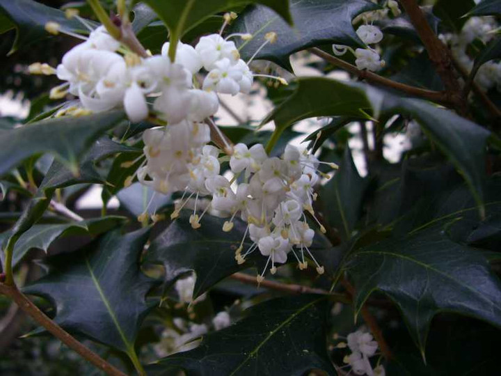 P1000445