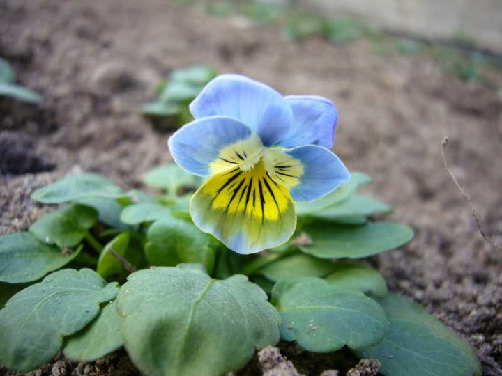 P1000449