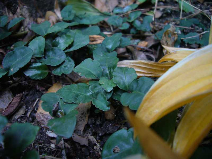 P1000469