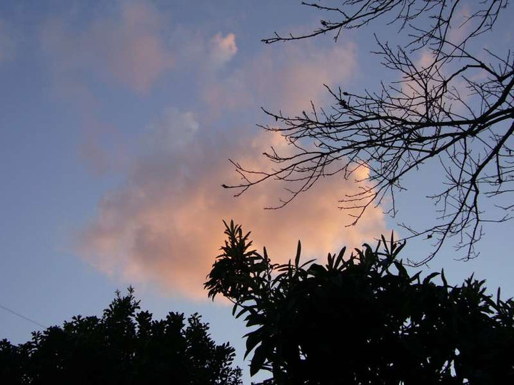 P1000491
