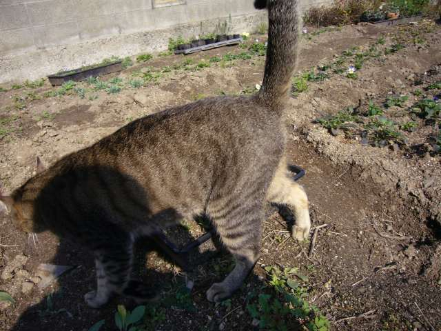 P1000502