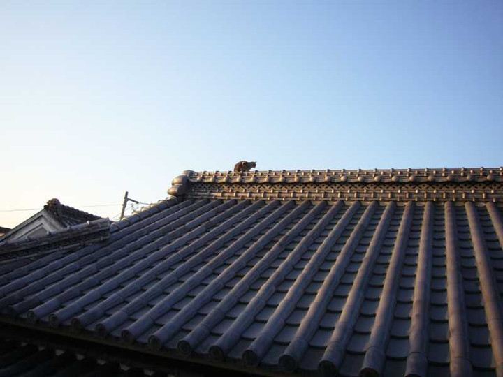 P1000558