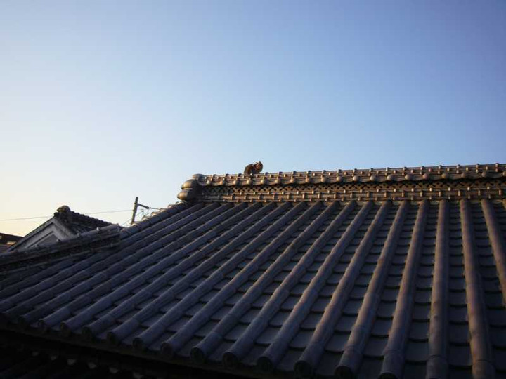 P1000559