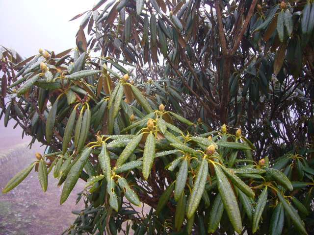 P1000606