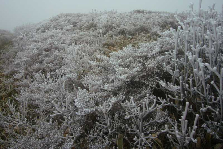 P1000633