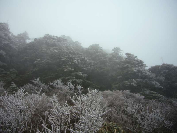 P1000637_1