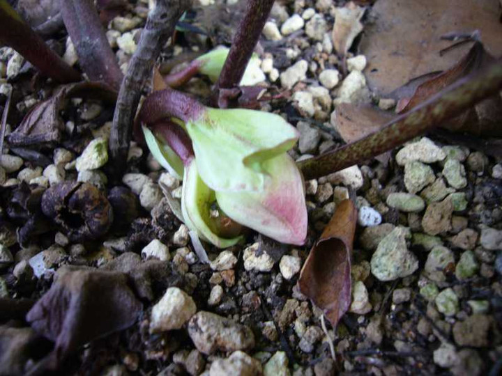 P1000802