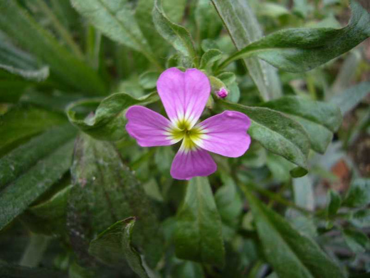 P1000809