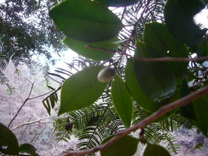 P1000849