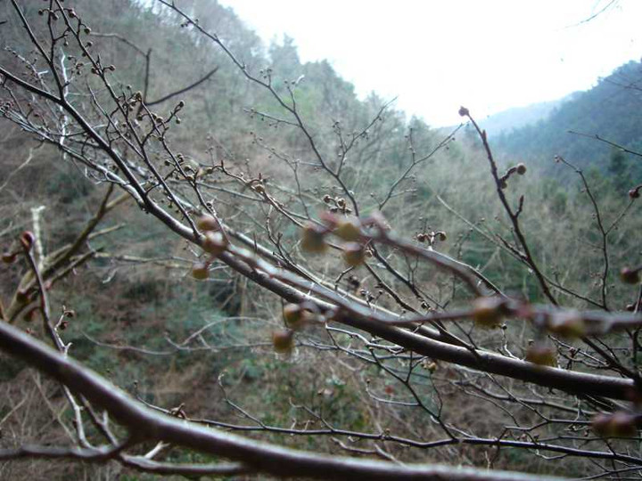P1000857