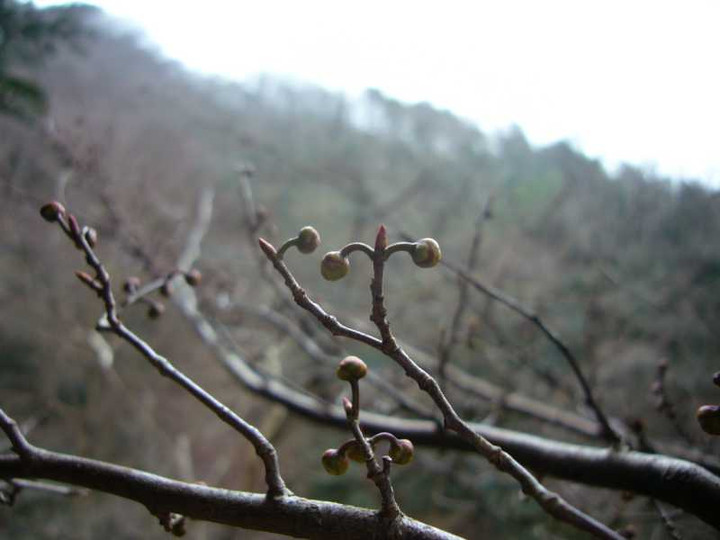 P1000859