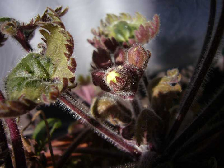 P1000976