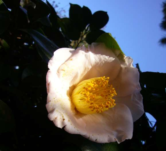 P1010013