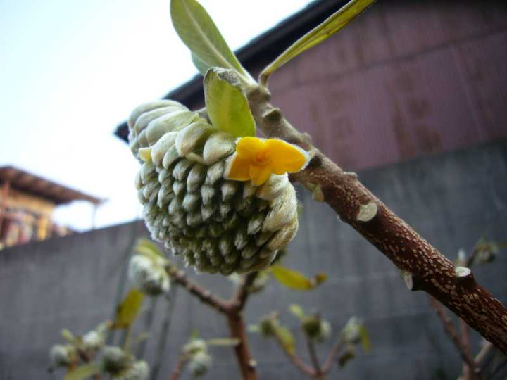P1010059