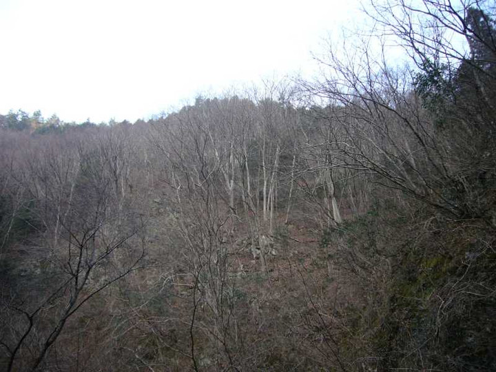 P1010075