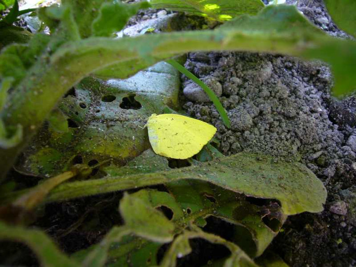 P1010158