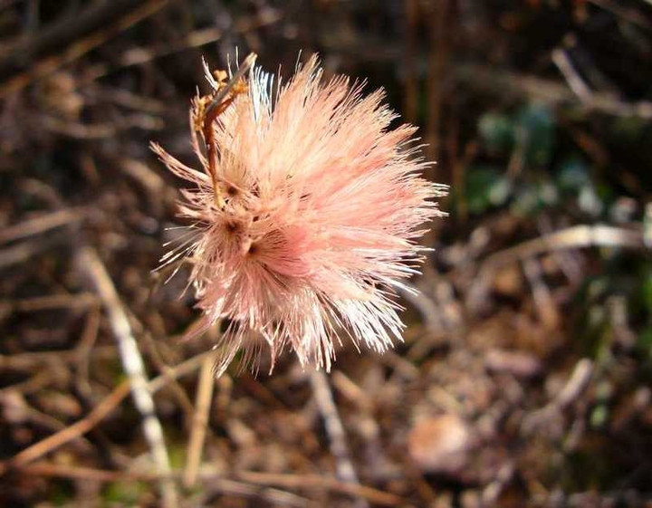 P1010231