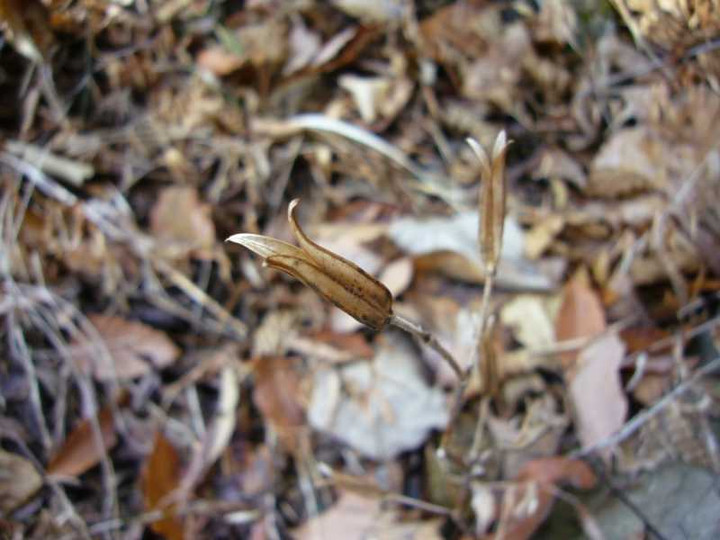 P1010237