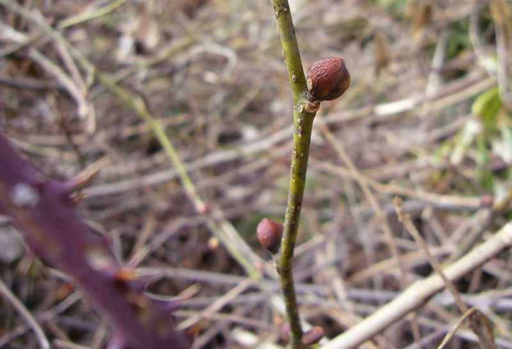 P1010248