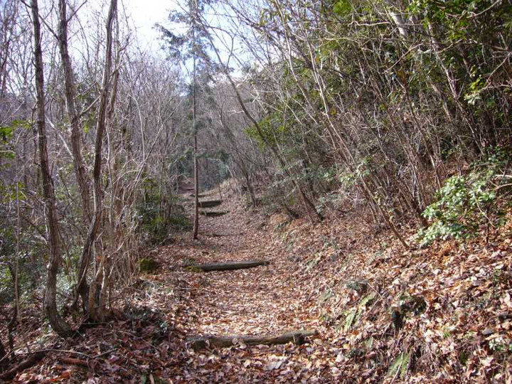 P1010251