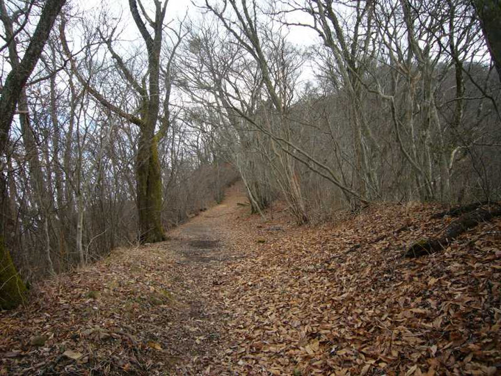 P1010272