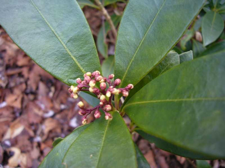 P1010283
